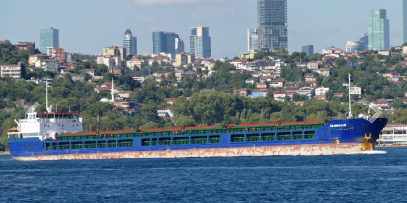 Ukraine warns of crisis with Israel over ship carrying alleged stolen grain