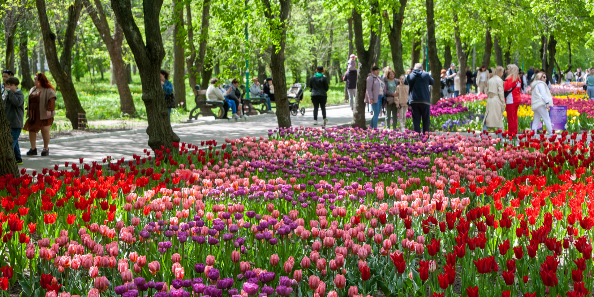 Резкое потепление. Синоптик сообщил, насколько повысится температура в Украине в первые дни мая и ожидаются ли осадки