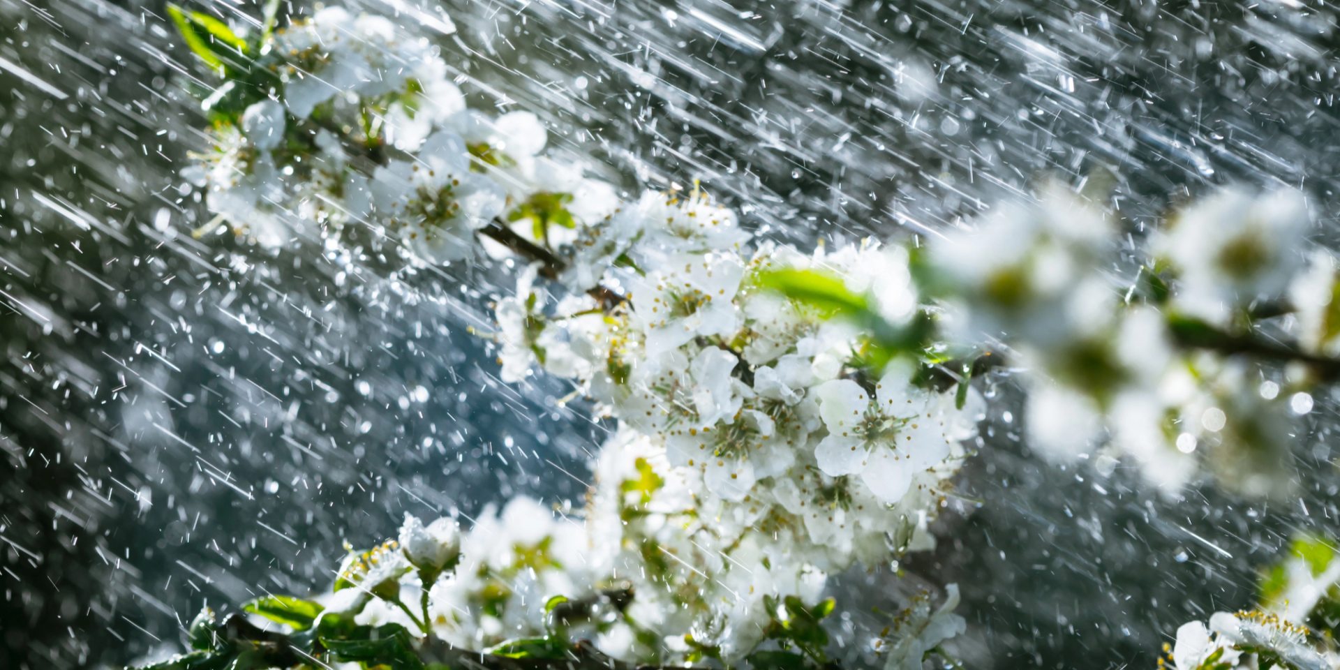 «Холодная погода пока остается». Синоптик предупредила, где ожидается дождь, мокрый снег и когда потепление в Украине