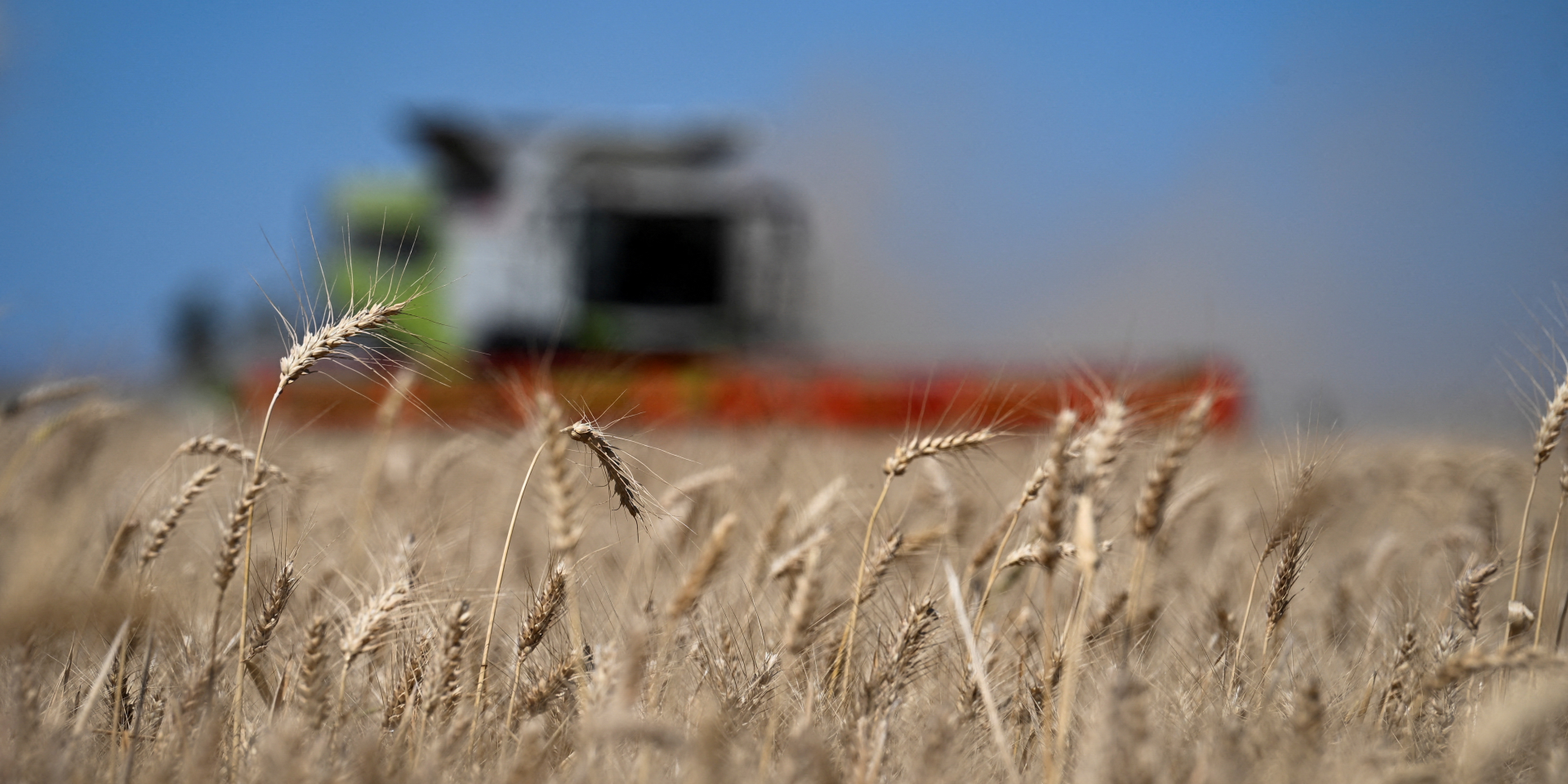 «Во-первых, это дешево». Зачем Израилю ворованное украинское зерно и что стало последней «хамской» каплей в этом конфликте — интервью NV