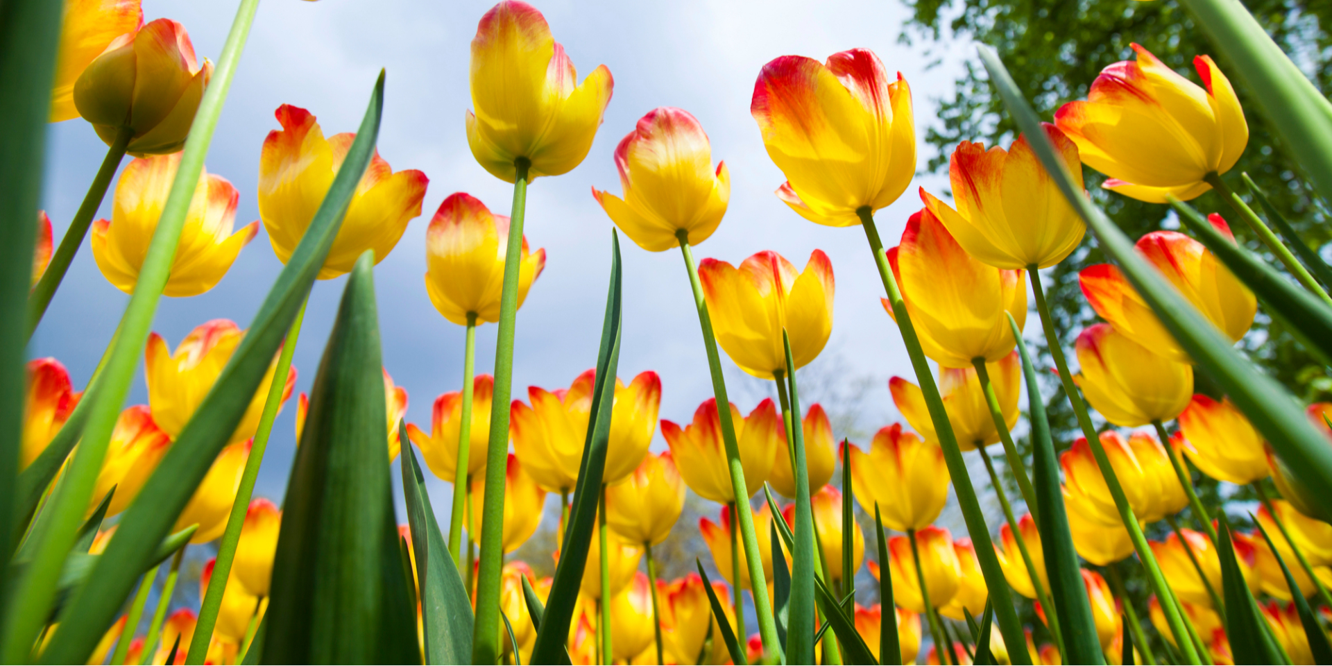 Потепление до +22. Синоптики сообщили, когда улучшится погода в Украине и какое количество осадков ожидается до конца недели