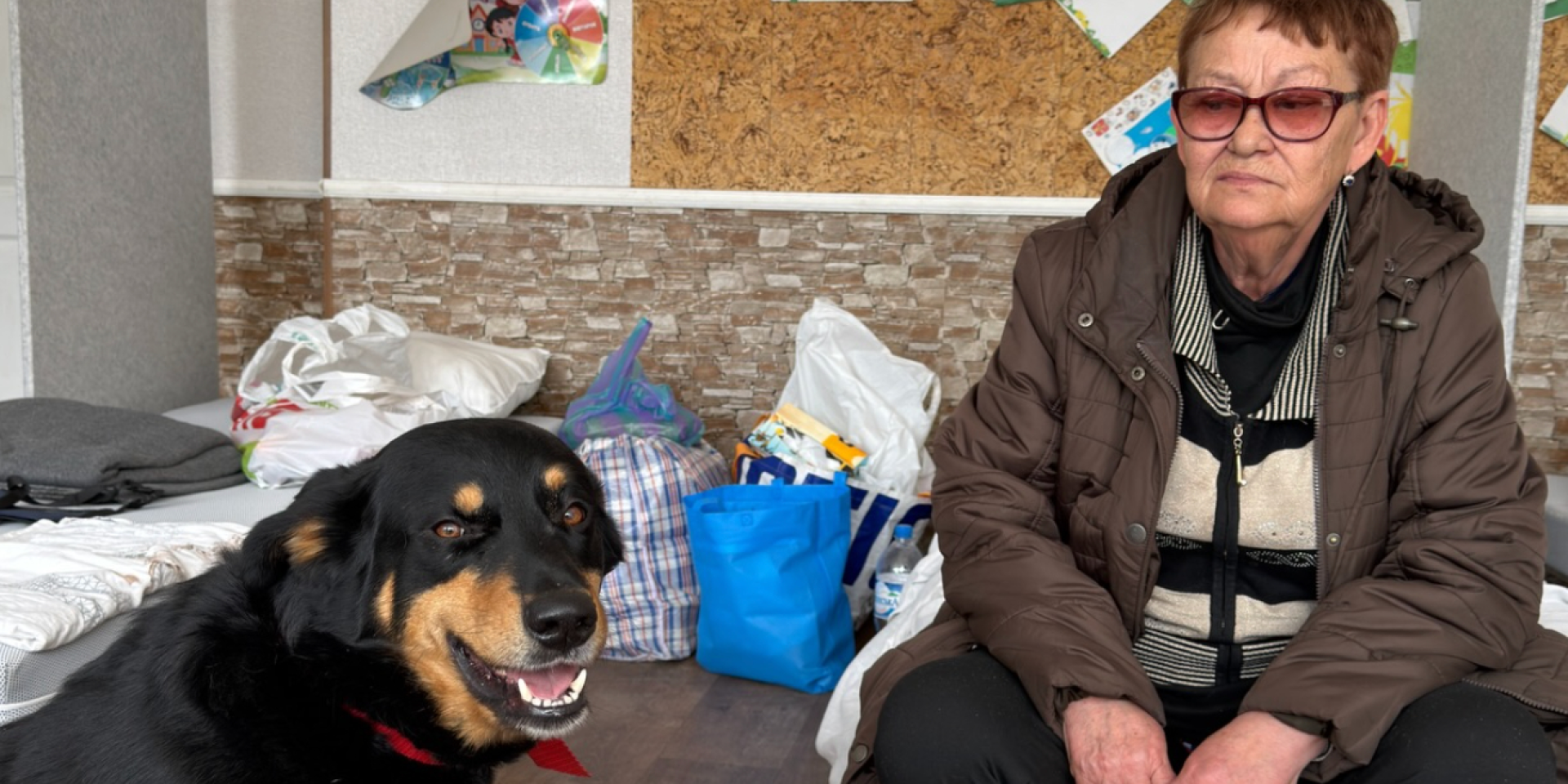 Девять часов «не шли, а бежали». Женщина с сыном, собакой и котом пешком вышли из Константиновки в Дружковку