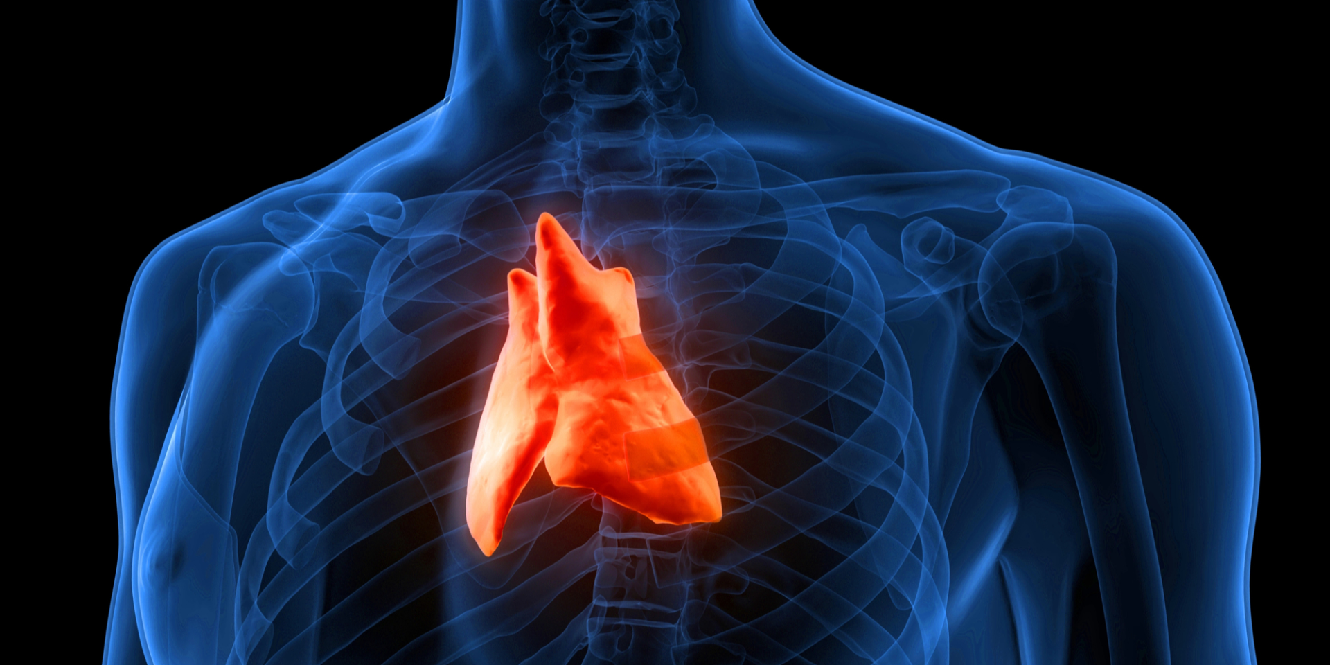 Наш запас прочности. Как замедлить старение иммунной системы