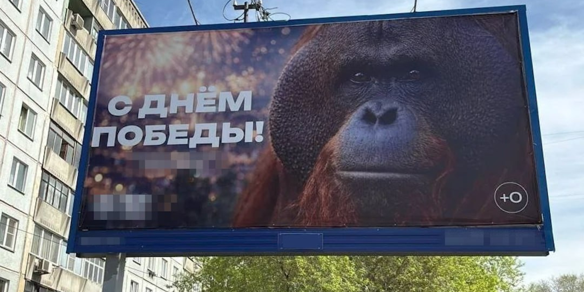 «Обезьяна раздора». В Новосибирске разместили на баннере к 9 мая фото орангутанга из зоопарка — фото