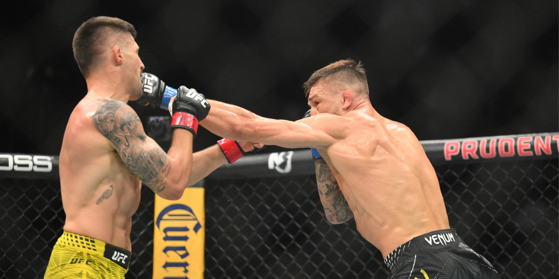 «Ставьте на него». Звезда UFC считает Амосова главным претендентом на чемпионский титул
