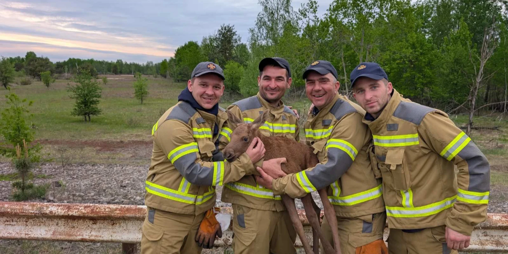 Moose calf rescued in Chornobyl Exclusion Zone / The New Voice of Ukraine
