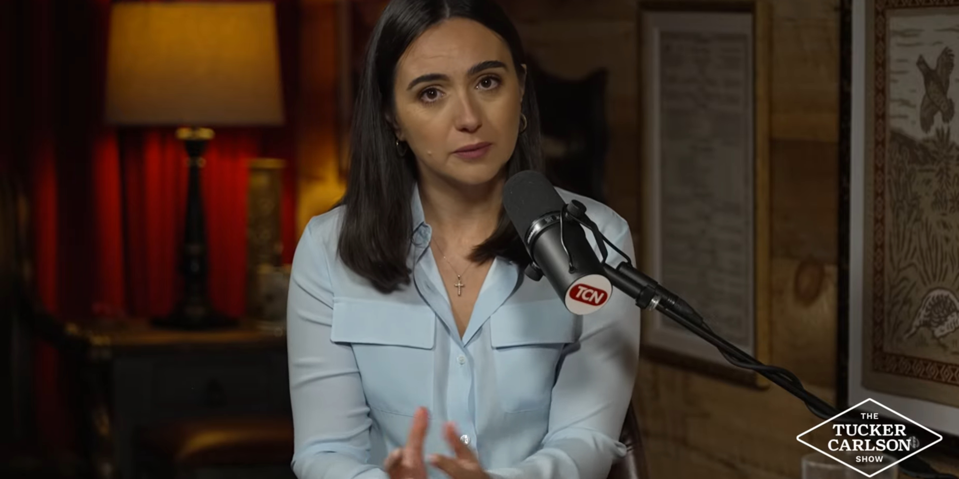 «Славяне убивают славян». Что наговорила Мендель о войне, Украине, Зеленском и Путине Такеру Карлсону и как реагируют украинские медийщики