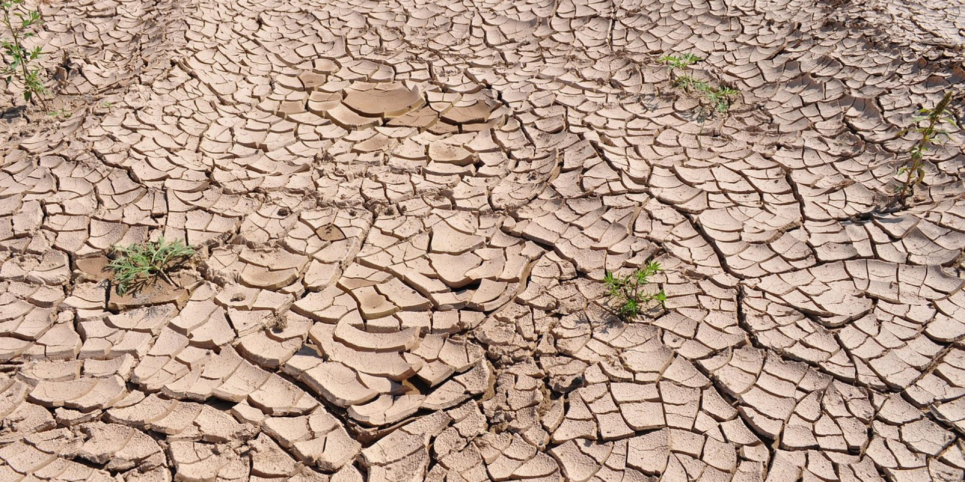 Суперфаза Эль-Ниньо угрожает мировой продовольственной и водной безопасности (Фото: pixabay)