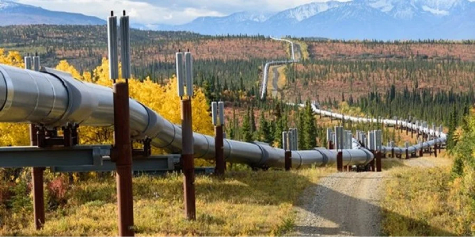 Поставляет по двум веткам. Россия резко увеличила экспорт газа одному из крупнейших покупателей