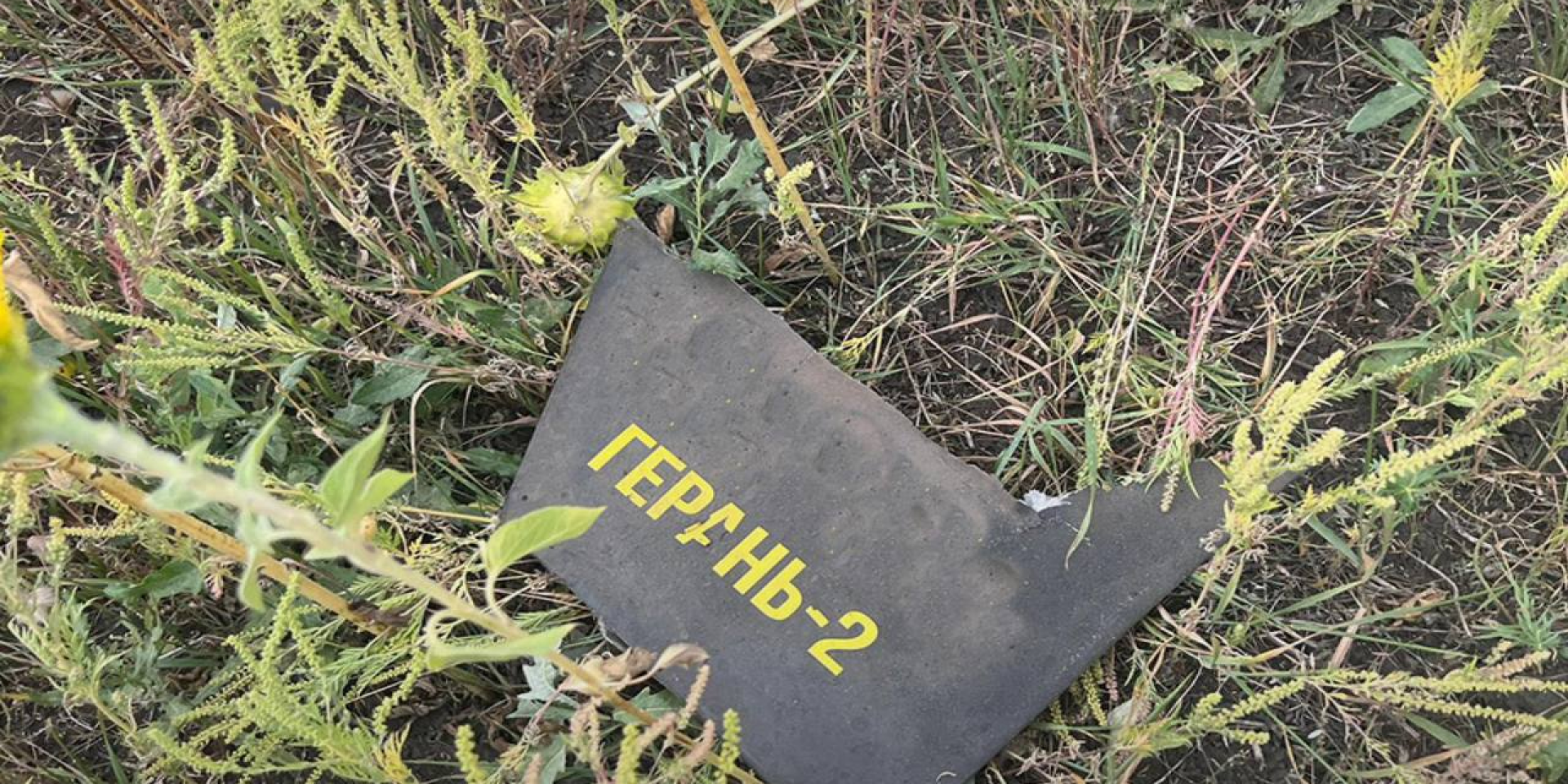 Войска РФ ночью атаковали Украину 124 дронами, есть попадания 12 из них