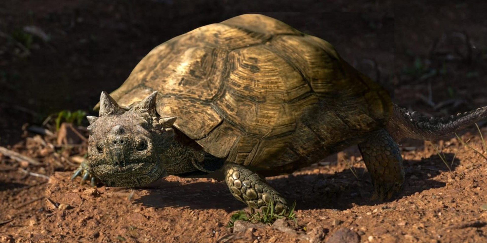 Можливий зовнішній вигляд Patagoniaemys aeschyli (Фото: Ілюстрація Nawel Vasquez / Museo Argentino de Ciencias Naturales 'Bernardino Rivadavia')