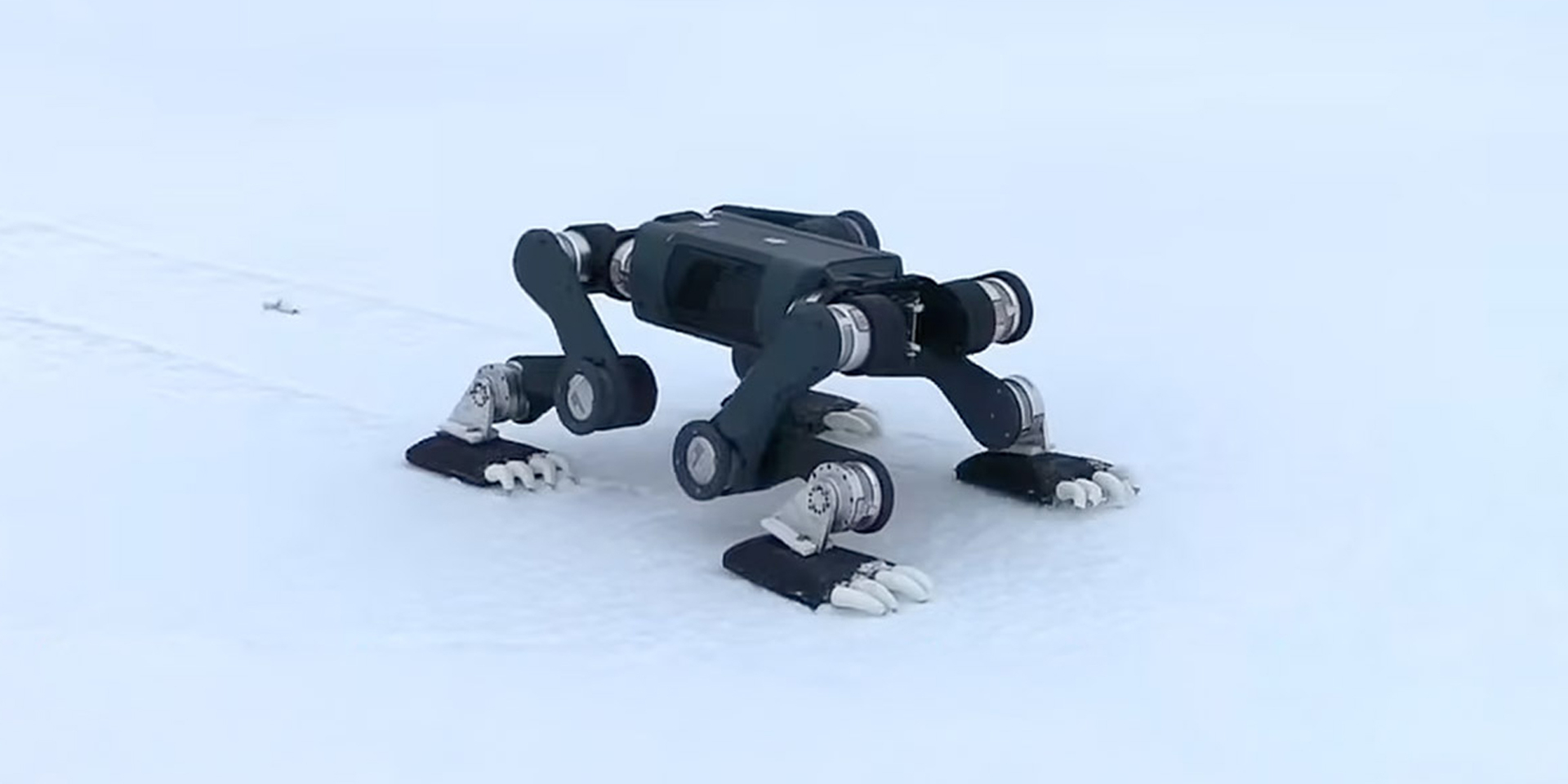 Модифікований Lynx S10 з лапами, схожими на ведмежі (Фото: DEEP Robotics/YouTube)