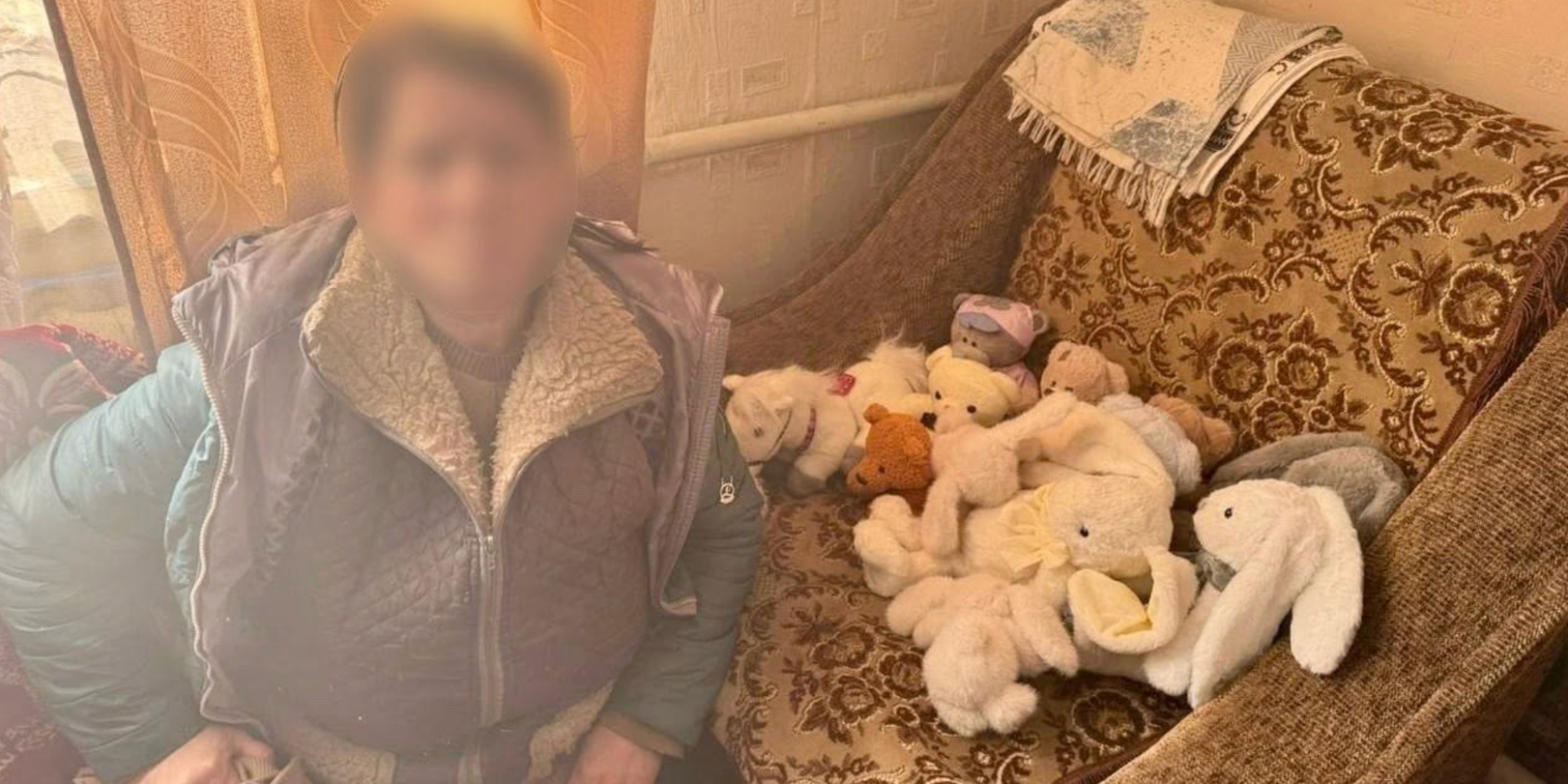 Женщина похитила с могилы ребенка мягкие игрушки и получила срок (Фото: Национальная полиция Украины)