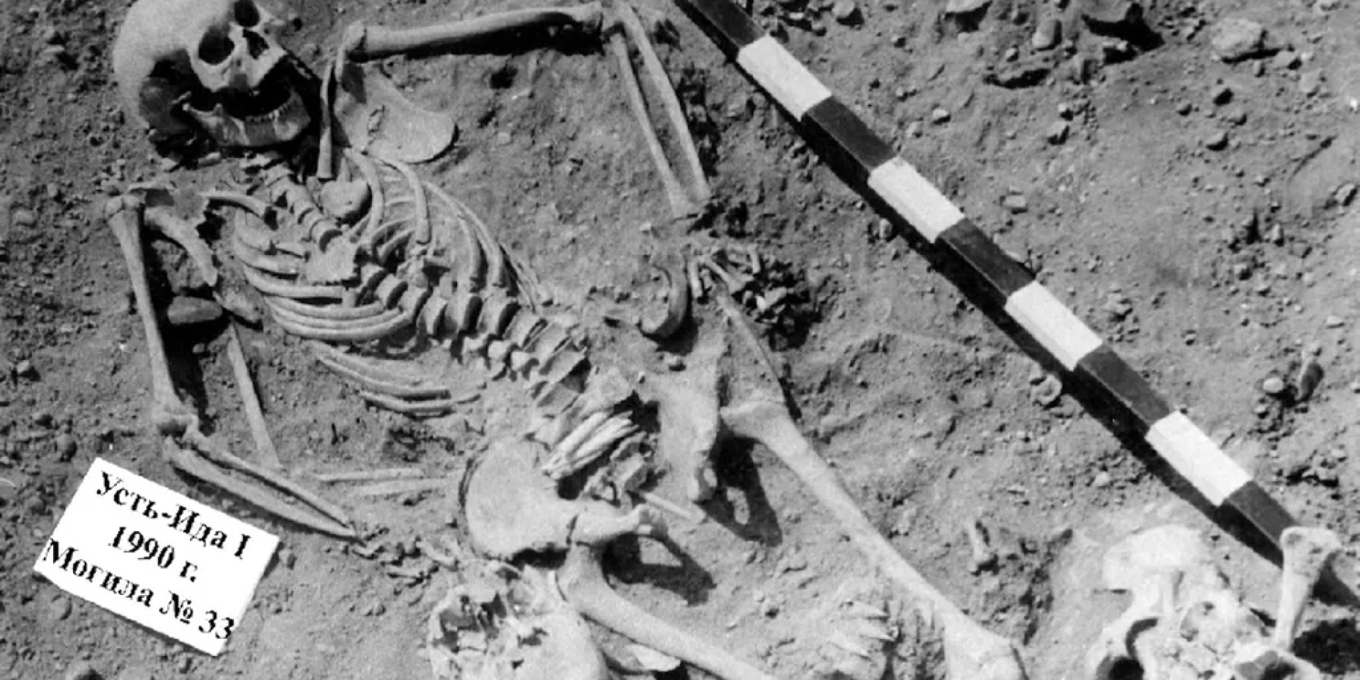 Діти були основними жертвами доісторичних спалахів чуми в цих громадах (Фото: Vladimiri Bazaliiskii)