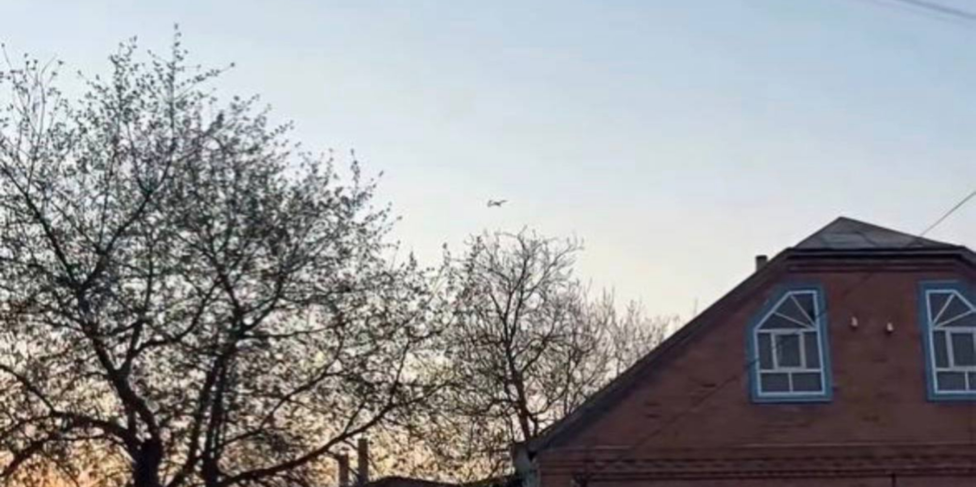 Українка зворушила мережу реакцією на дрон (Фото: Ярослава Лакиза/Instagram/Скриншот)
