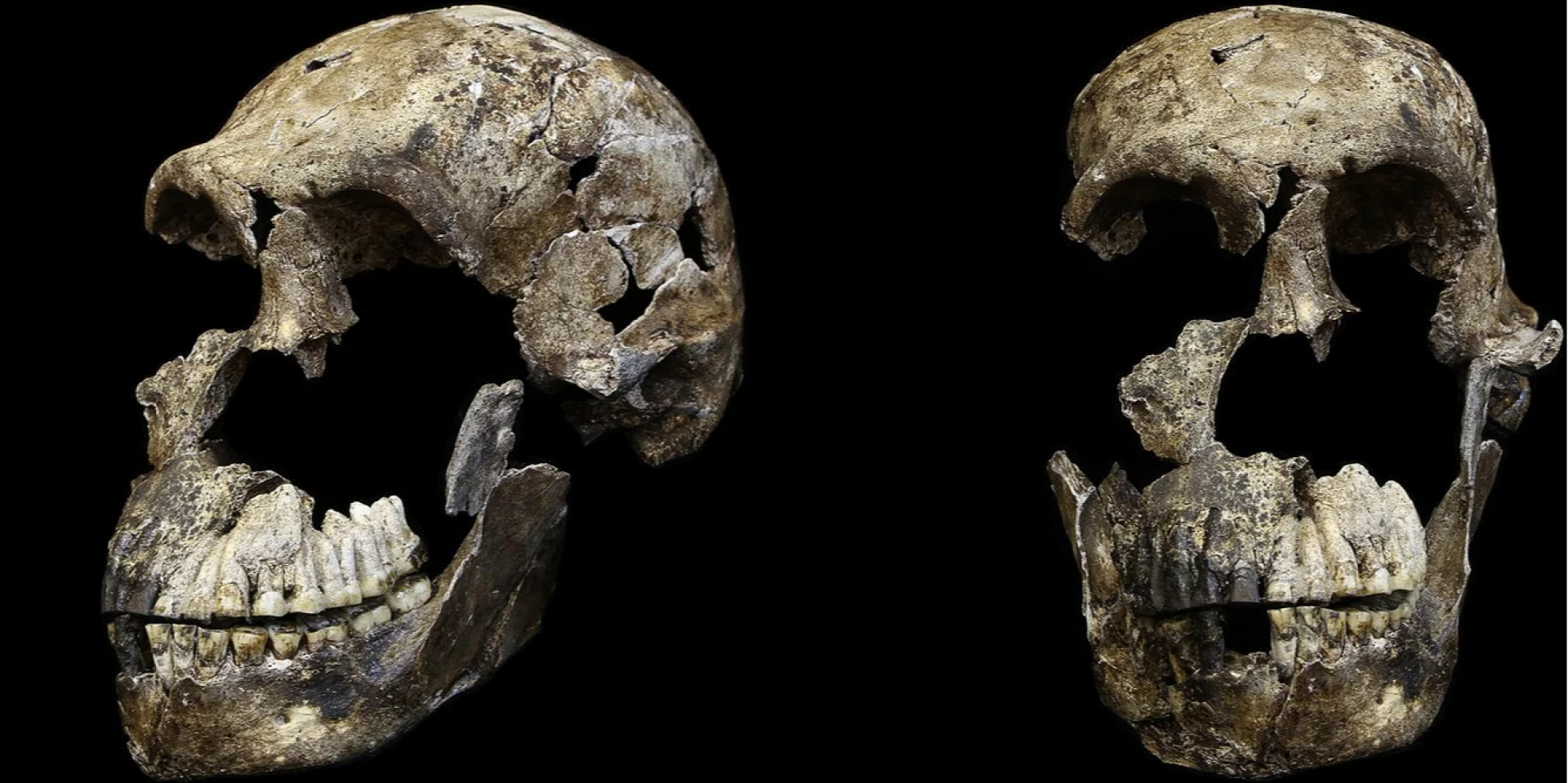Поховання Homo naledi у ПАР може виявитися повністю жіночим (Фото: John Hawks/World History Encyclopedia)