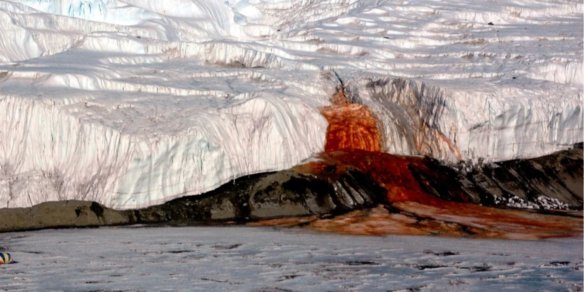 Не менее интересной находкой стали бактерии, обитающие под ледником (Фото: National Science Foundation/Peter Rejcek)