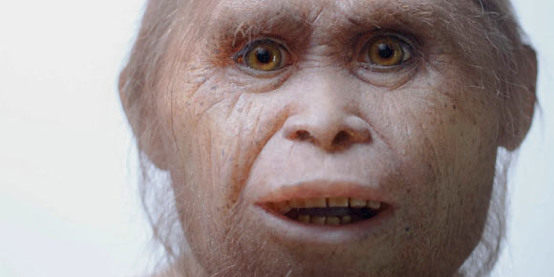 Реконструкція Homo floresiensis (Фото: Elisabeth Daynes)