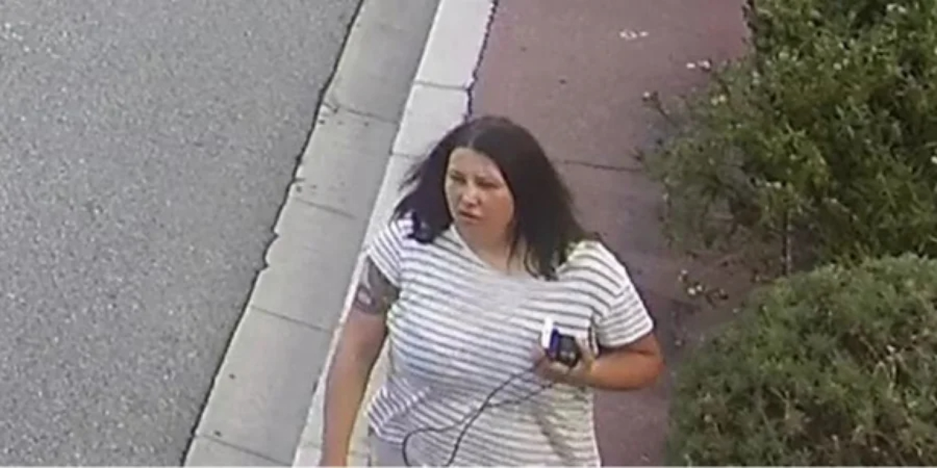 Ukrainian citizen Anastasia Berezovska returned to Ukraine the day before being put on the international wanted list (Photo: interpol.int)