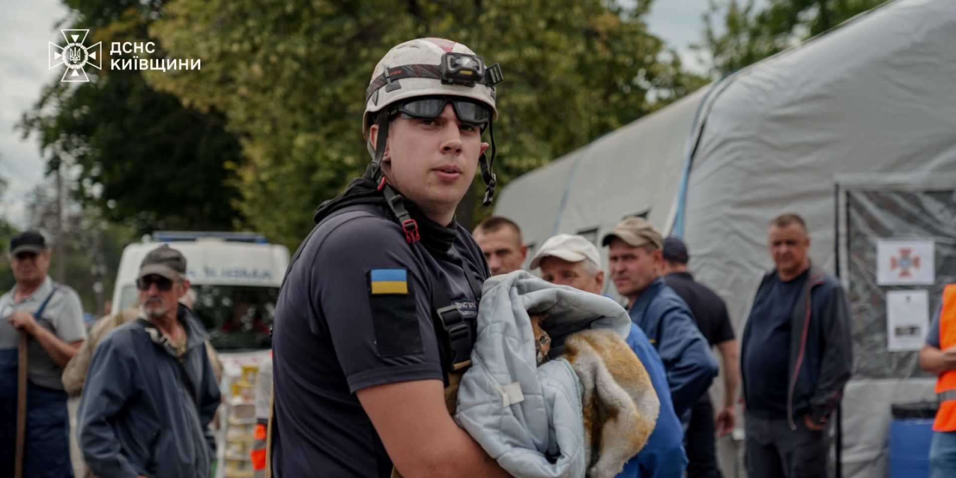 Кота спасли из-под завалов в Вишнёвом. (Фото: ГСЧС Украины)