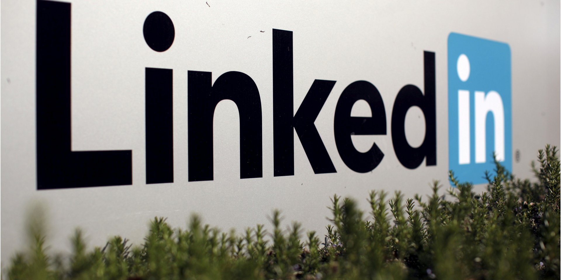 LinkedIn (Фото: REUTERS/Robert Galbraith)
