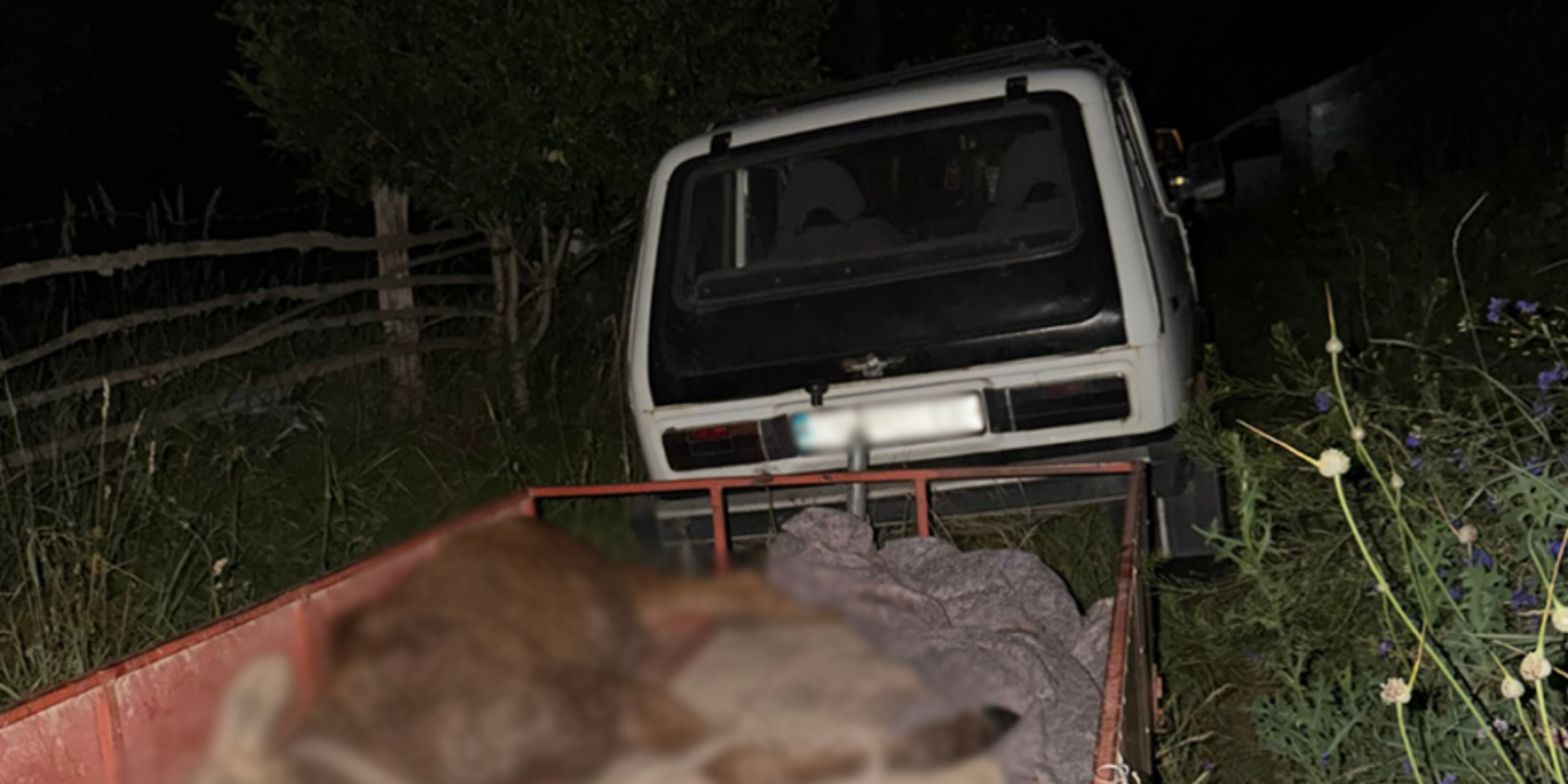 Браконьєри вбили червонокнижного лося в Чернігівській області (Фото: Національна поліція України)