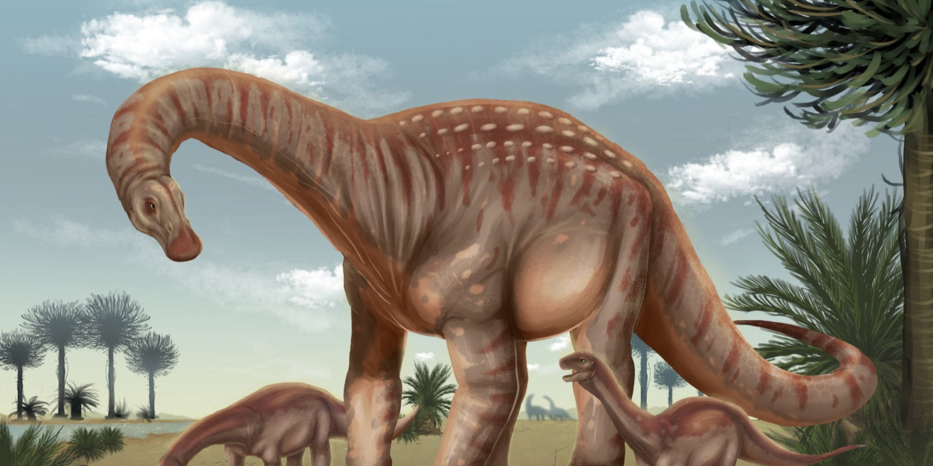 Mesetasaurus protector в уявленні художника (Фото: Merlina Ramírez)