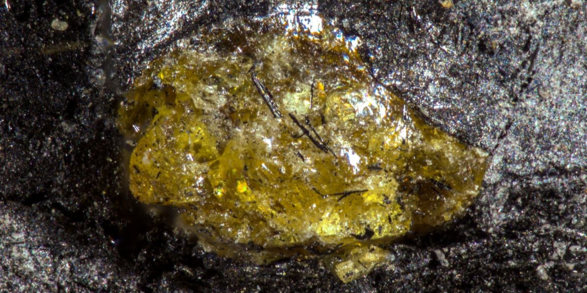 Один із частин бурштину із вкрапленнями вугілля (Фото: Luo et al., Sci. Adv., 2026)