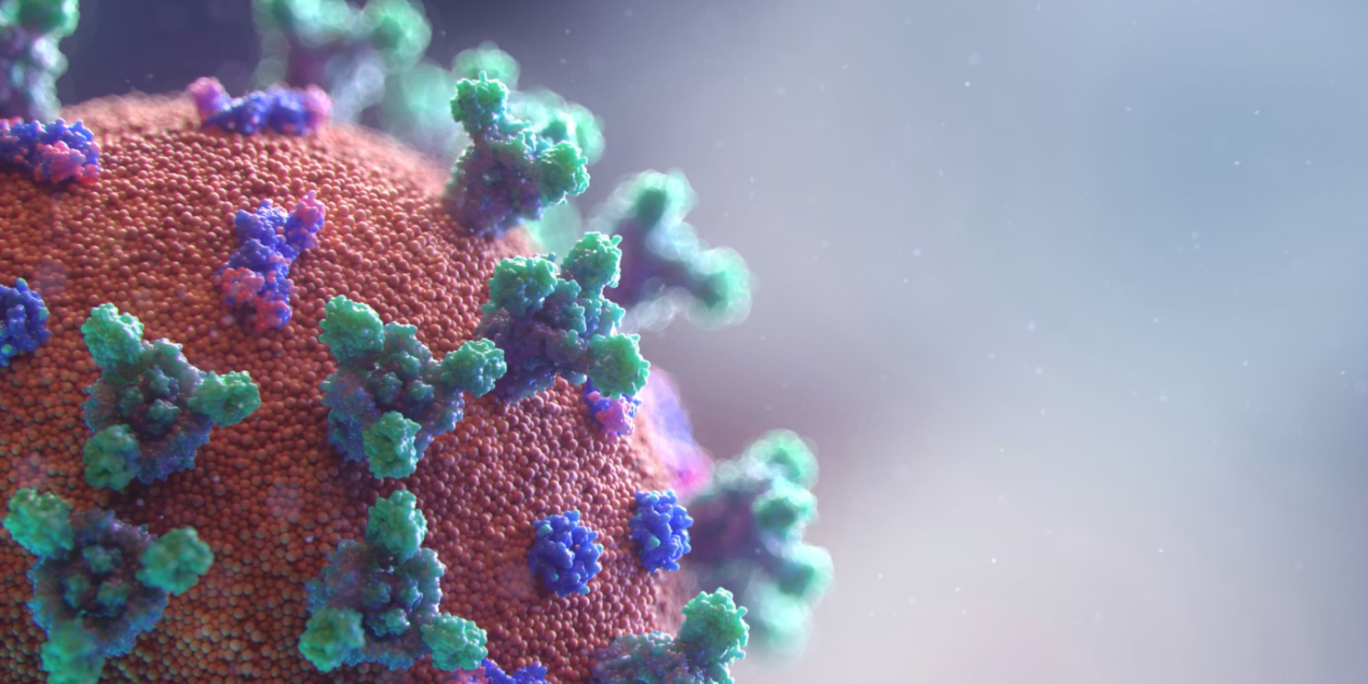 Во Львовской области зафиксировали случай хантавируса (Фото: Unsplash Fusion Medical Animation)