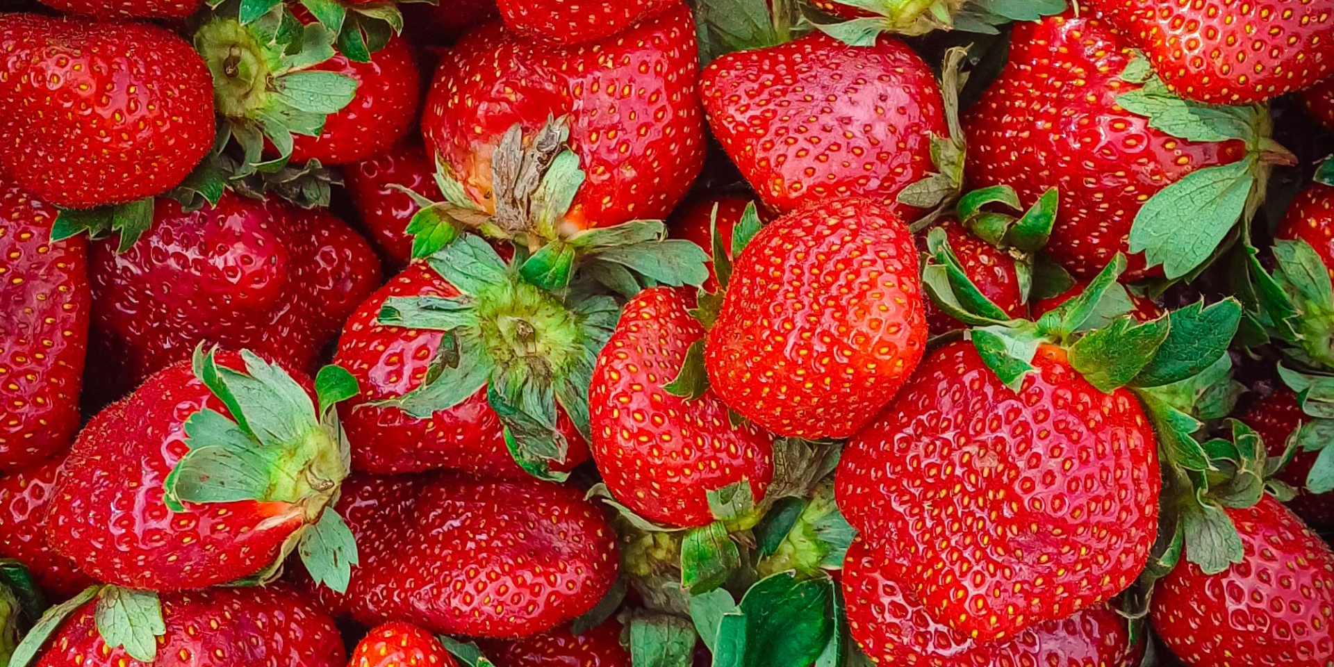 Клубника (Фото: pexels.com)
