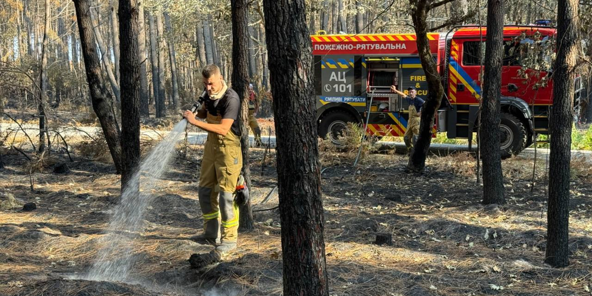 Ukrainian rescue workers have joined efforts to extinguish a large-scale forest fire in France (Photo: State Emergency Service of Ukraine/Telegram)