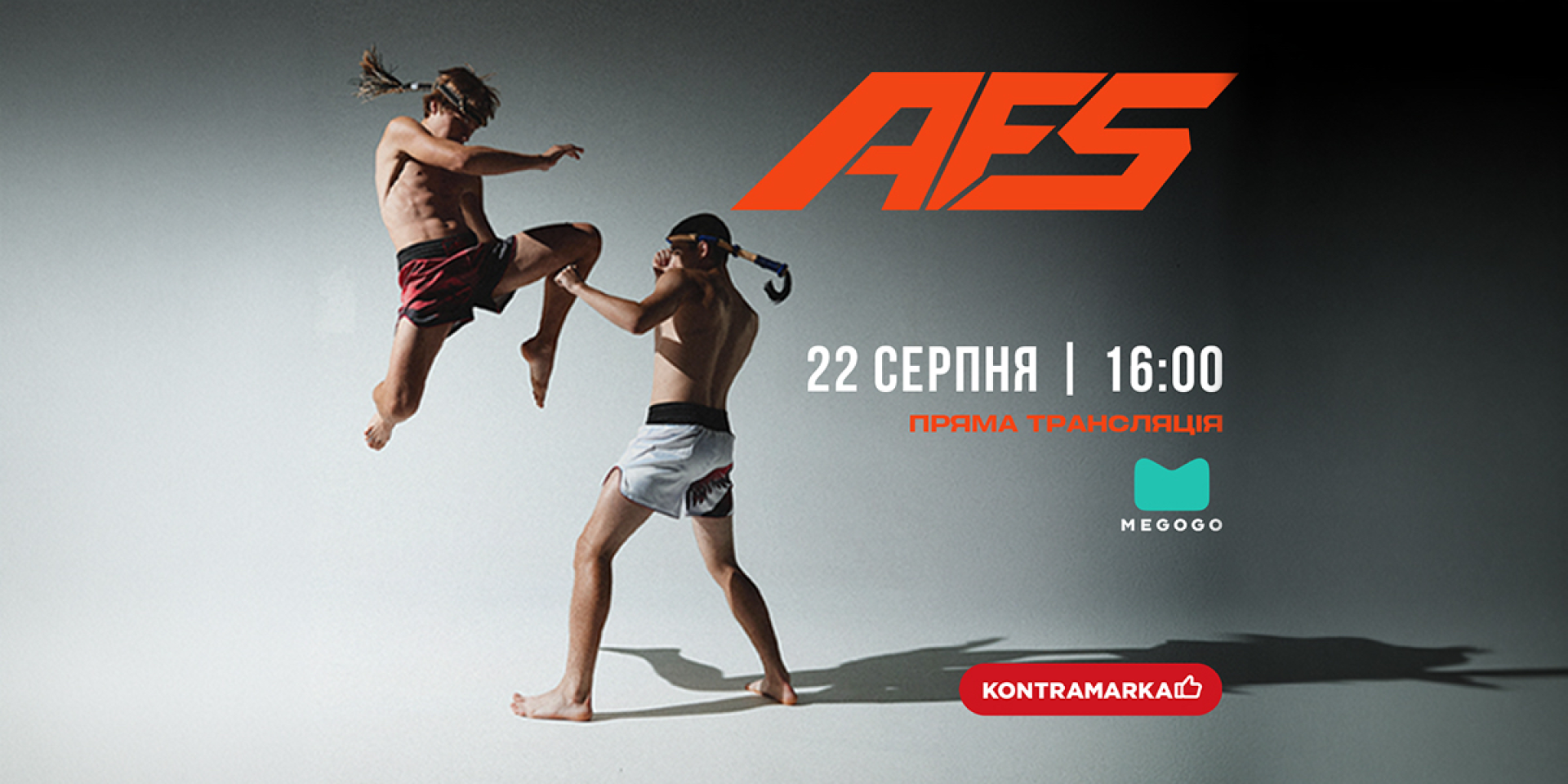Artan Fighting Series