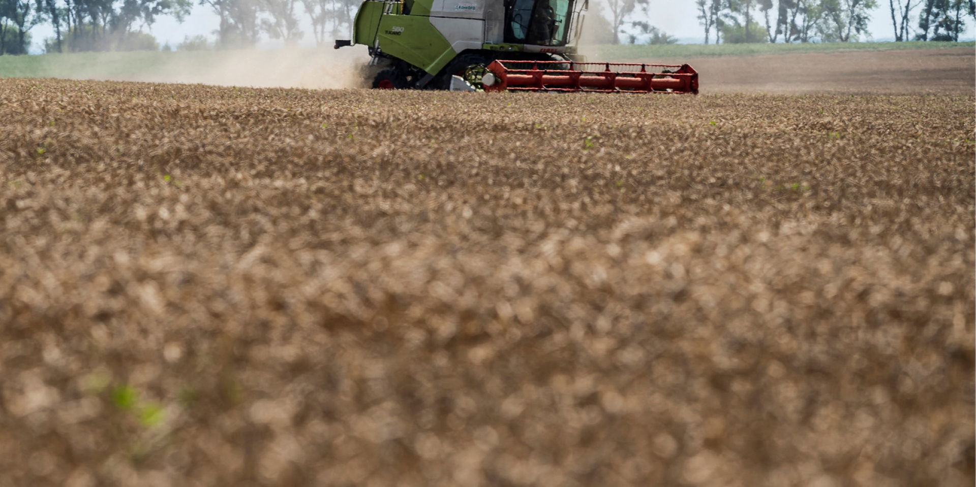 Ukraine grain exports may halve this year