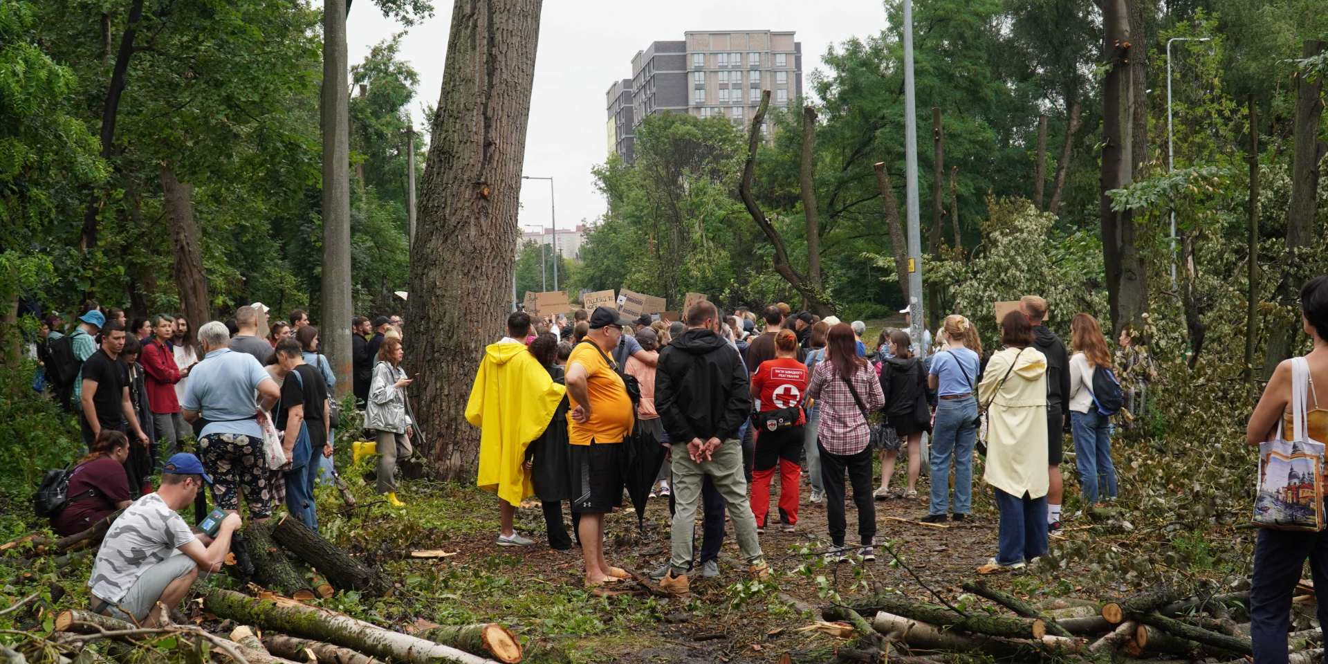 Протест против вырубки старых дубов в Голосеевском районе Киева, 8 августа 2026 года (Фото: Игорь Кузнецов/NV)