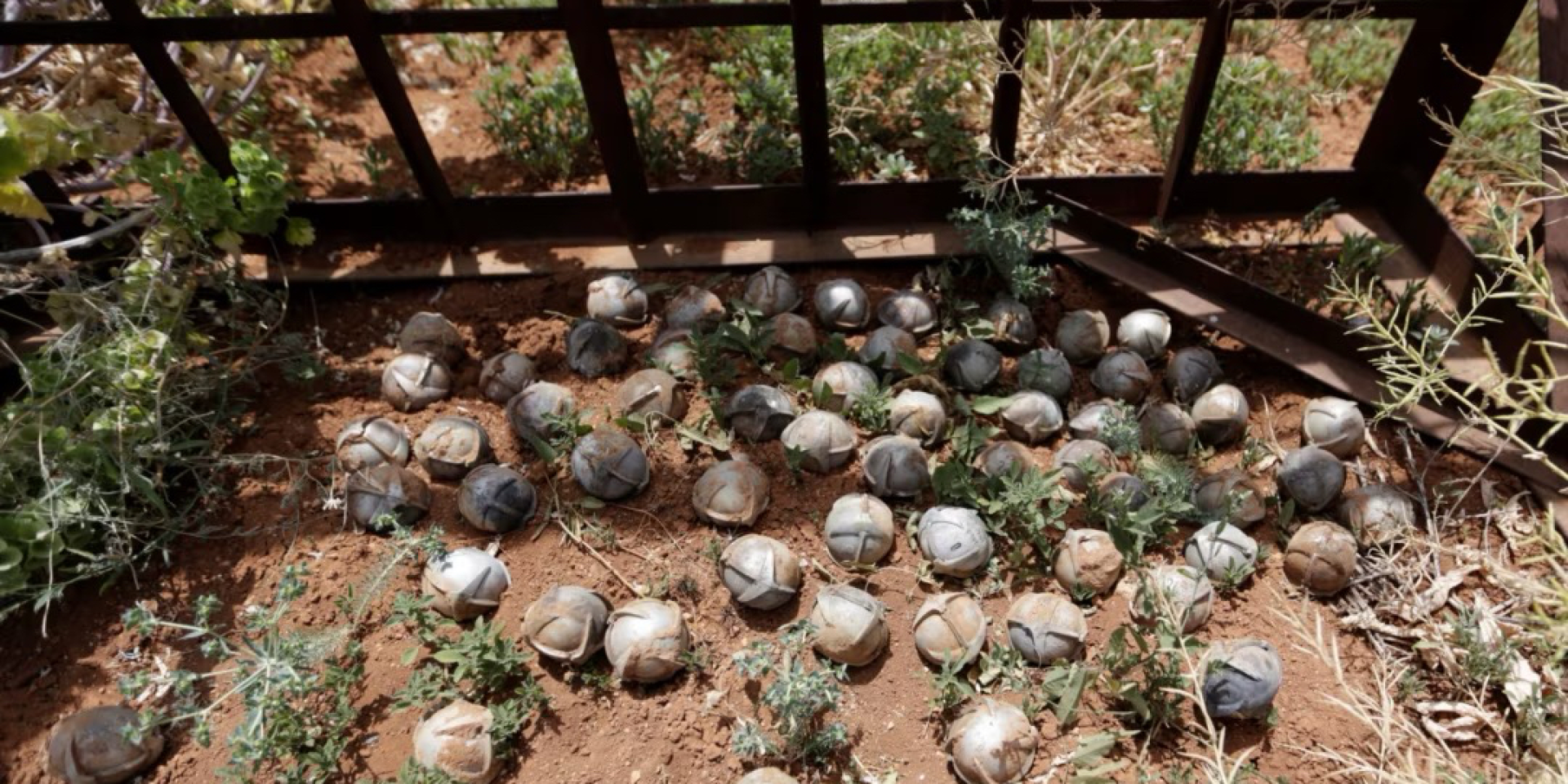 Human Rights Watch urges U.S. Congress to block transfer of Turkish cluster munitions to Ukraine, calling it 'a humanitarian liability for civilians'