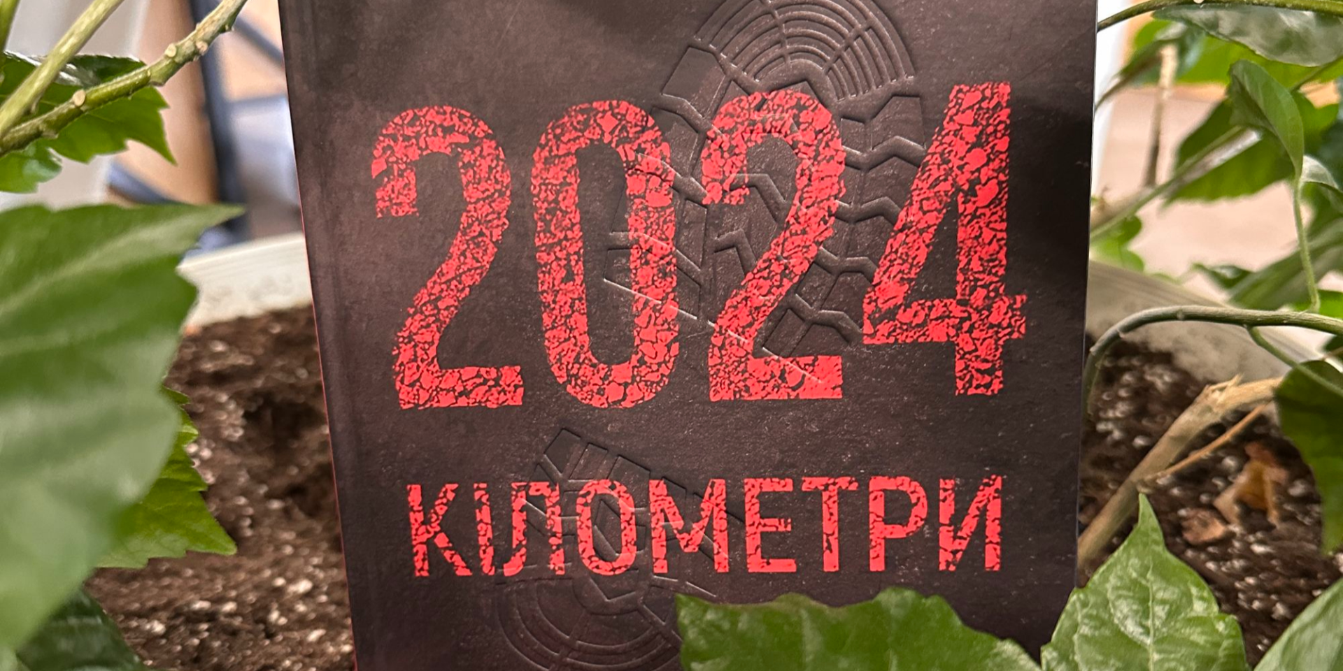 В издательстве Колесо Жизни вышла книга украинских разведчиков, работающих в глубоком тылу врага (Фото: Пресс-служба Колесо Жизни)