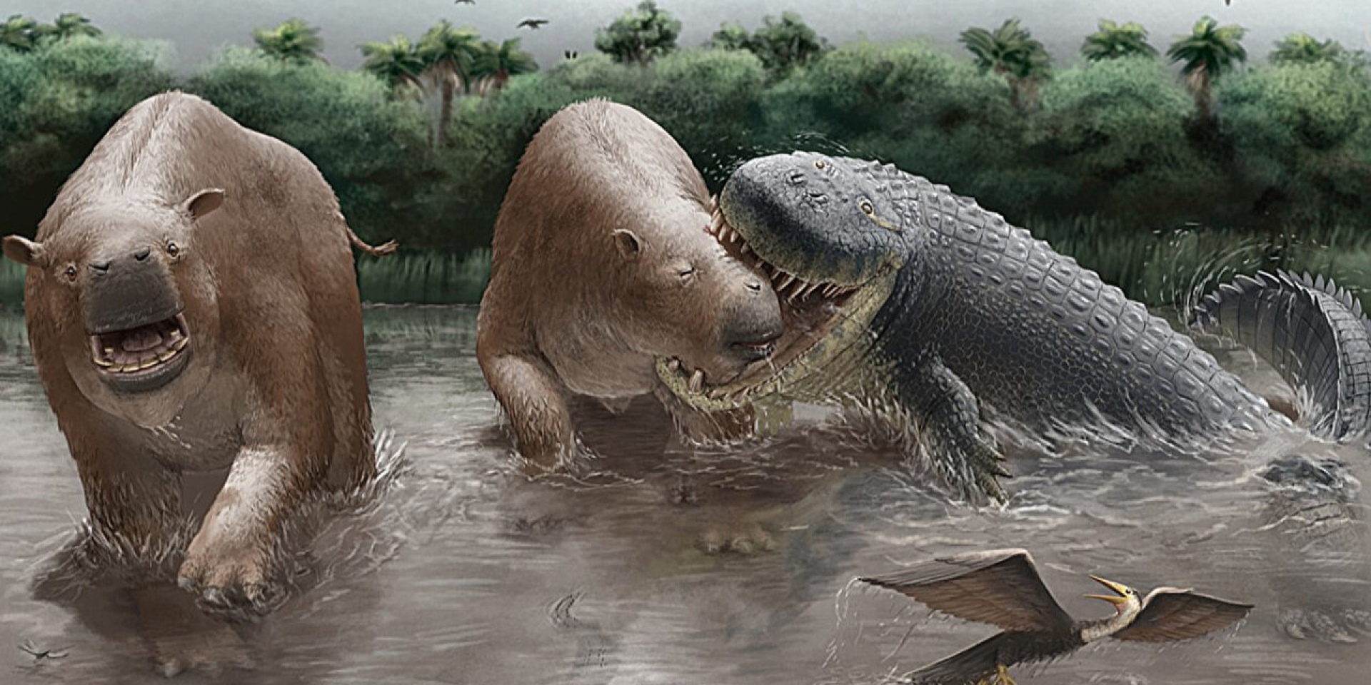 Реконструкция нападения Purussaurus neivensis на Pericotoxodon platignathus (Фото: Мигель Эрнандес)