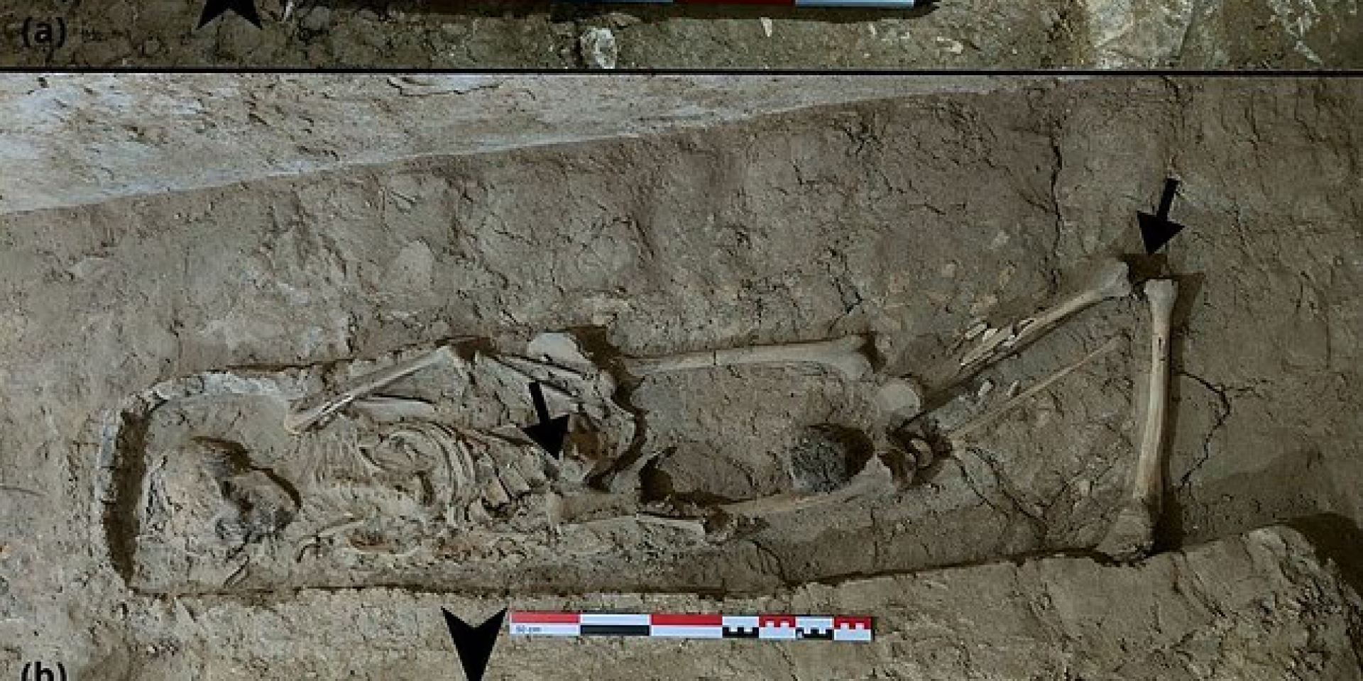 В усыпальнице нашли множество тел (Фото: Джаред Карбальо-Перес из Университета Ла-Лагуны)