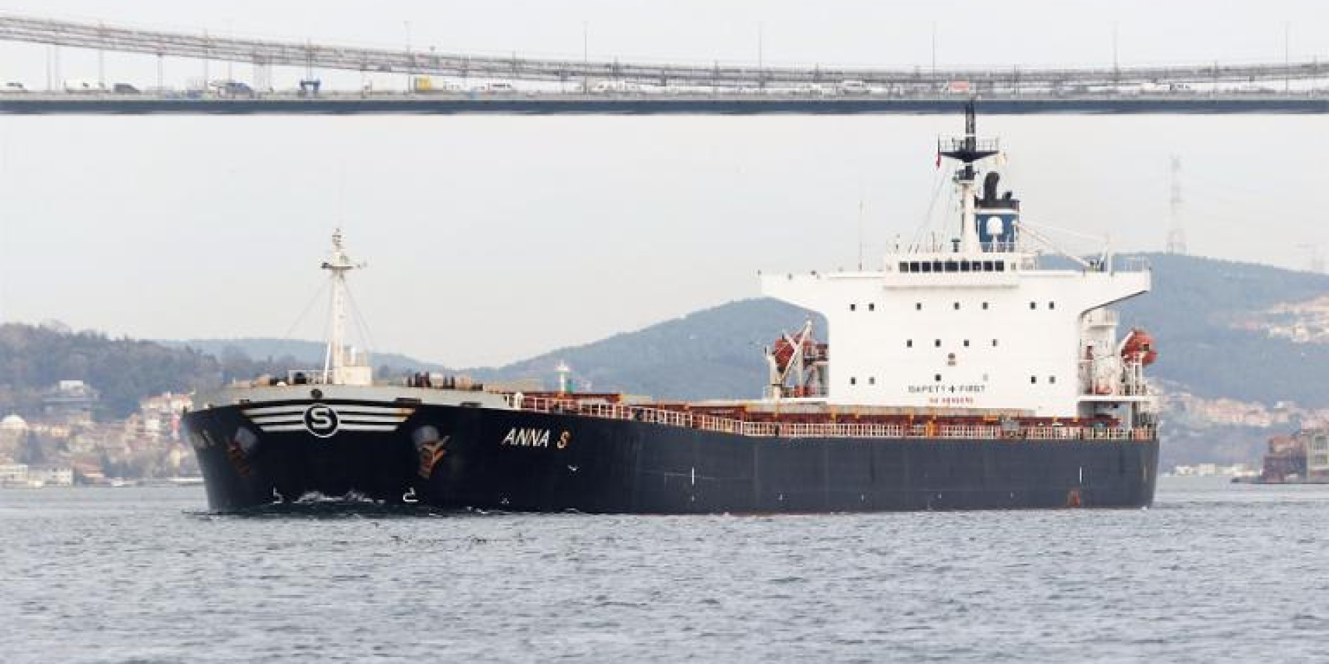 Anna S bulk carrier (Photo: vesselfinder.com)