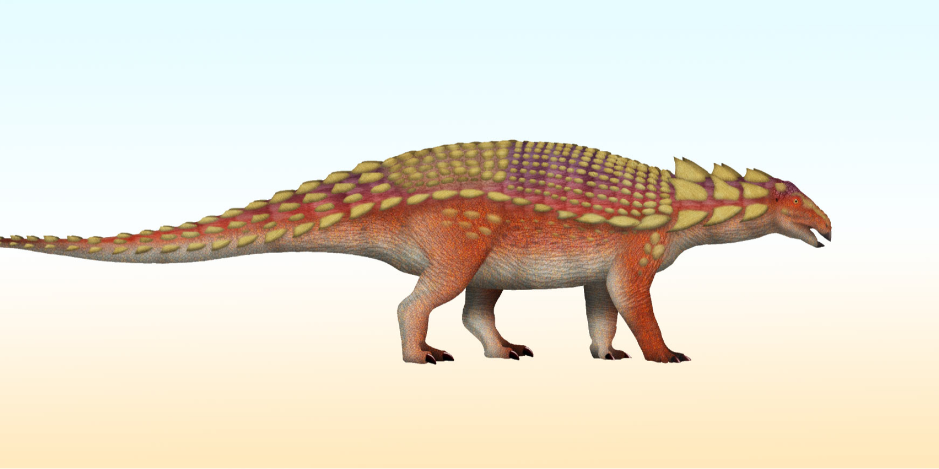 Nipponopelta yezoensis в представлении художника (Фото: TotalDino / CC BY 4.0.)