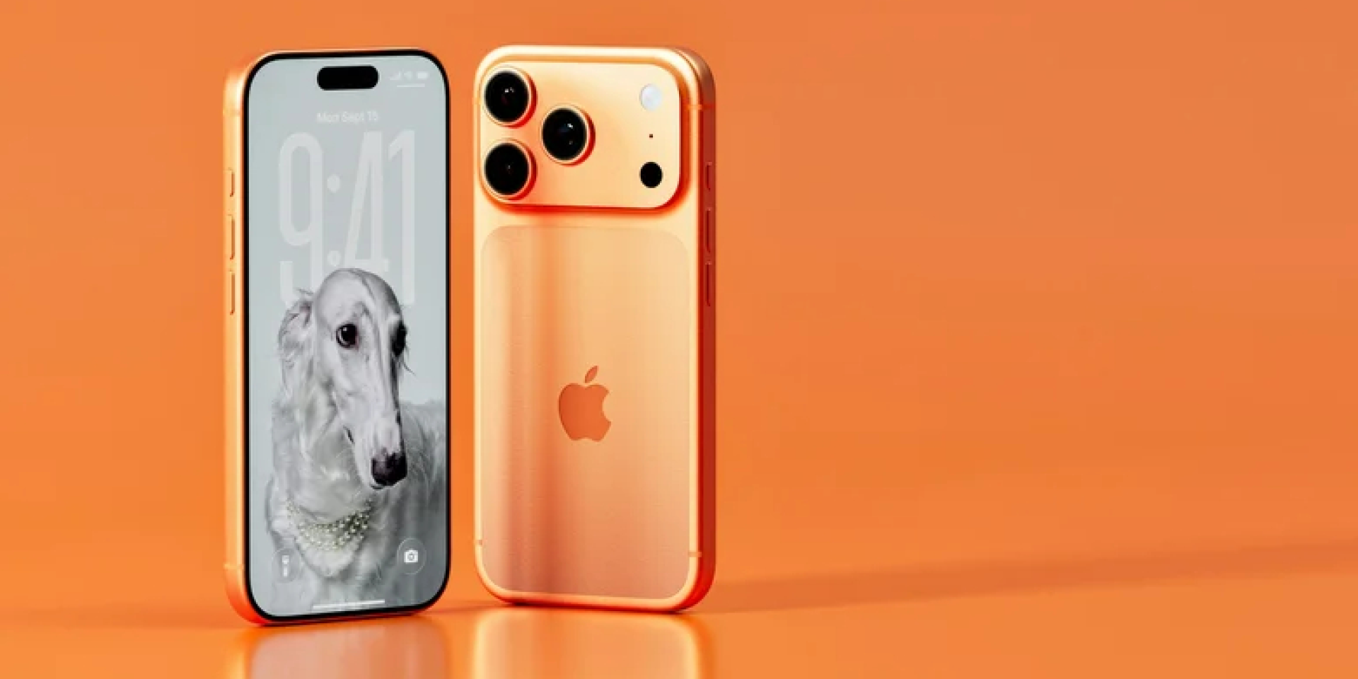 Новый iPhone должны представить совсем скоро (Фото: Игорь Омилаев/Unsplash)