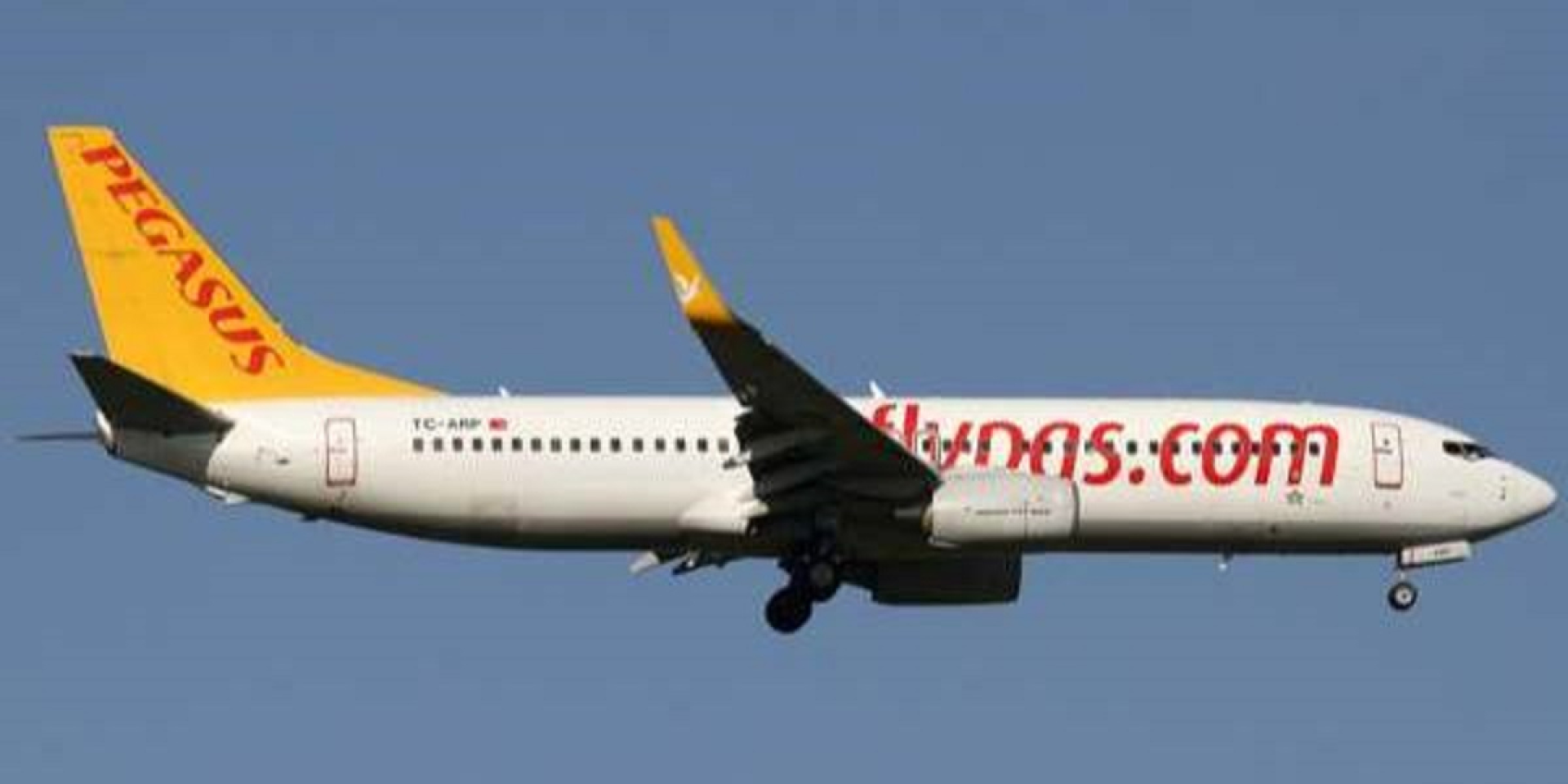 Pegasus (Photo: ifly.ua)