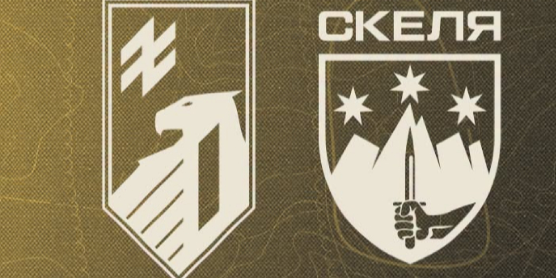 The 425th Separate Assault Regiment 