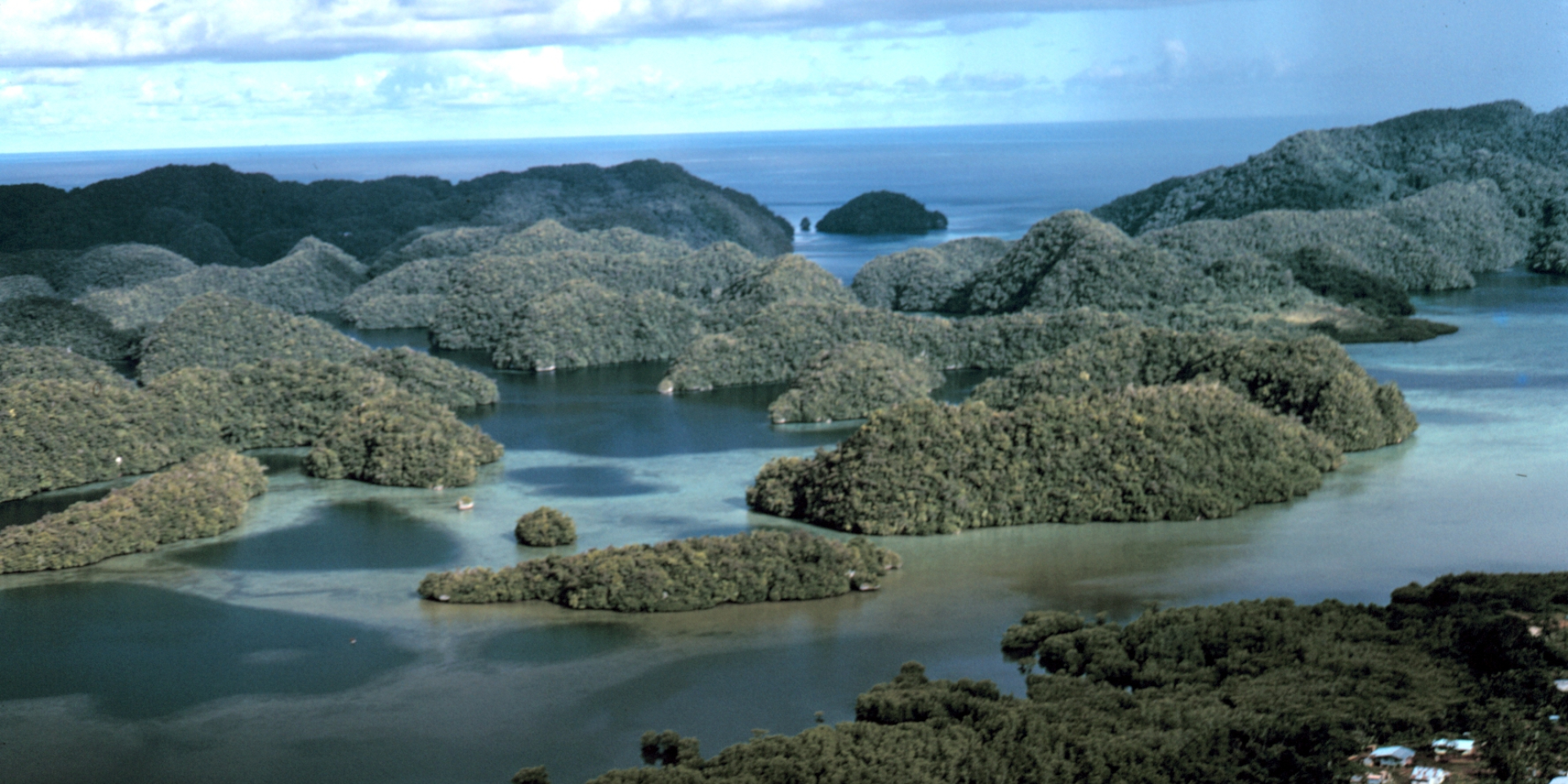 Палау в зоне риска из-за изменения климата (Фото: Dr. James P. McVey, NOAA Sea Grant Program)