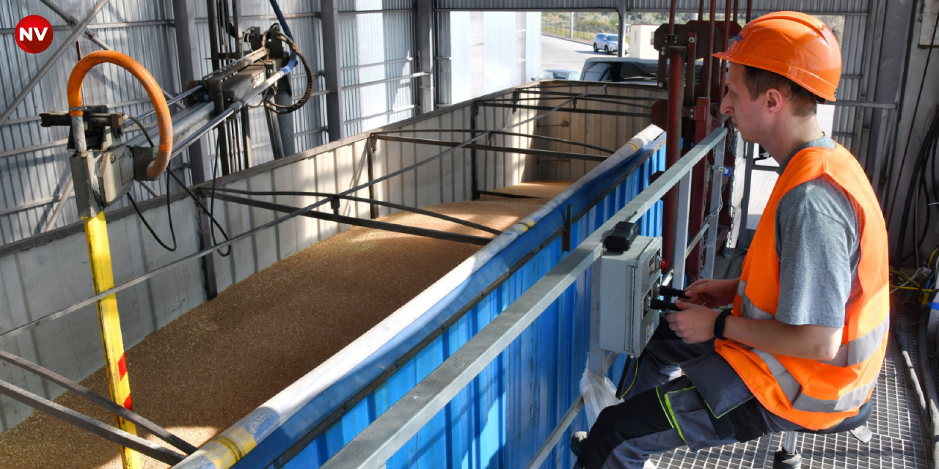 Loading grain into flatcars (Photo: NV)