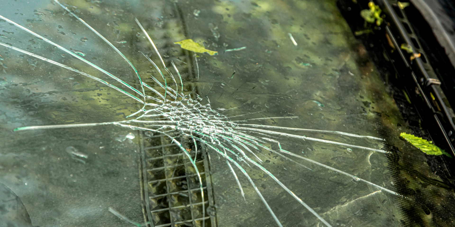 depositphotos