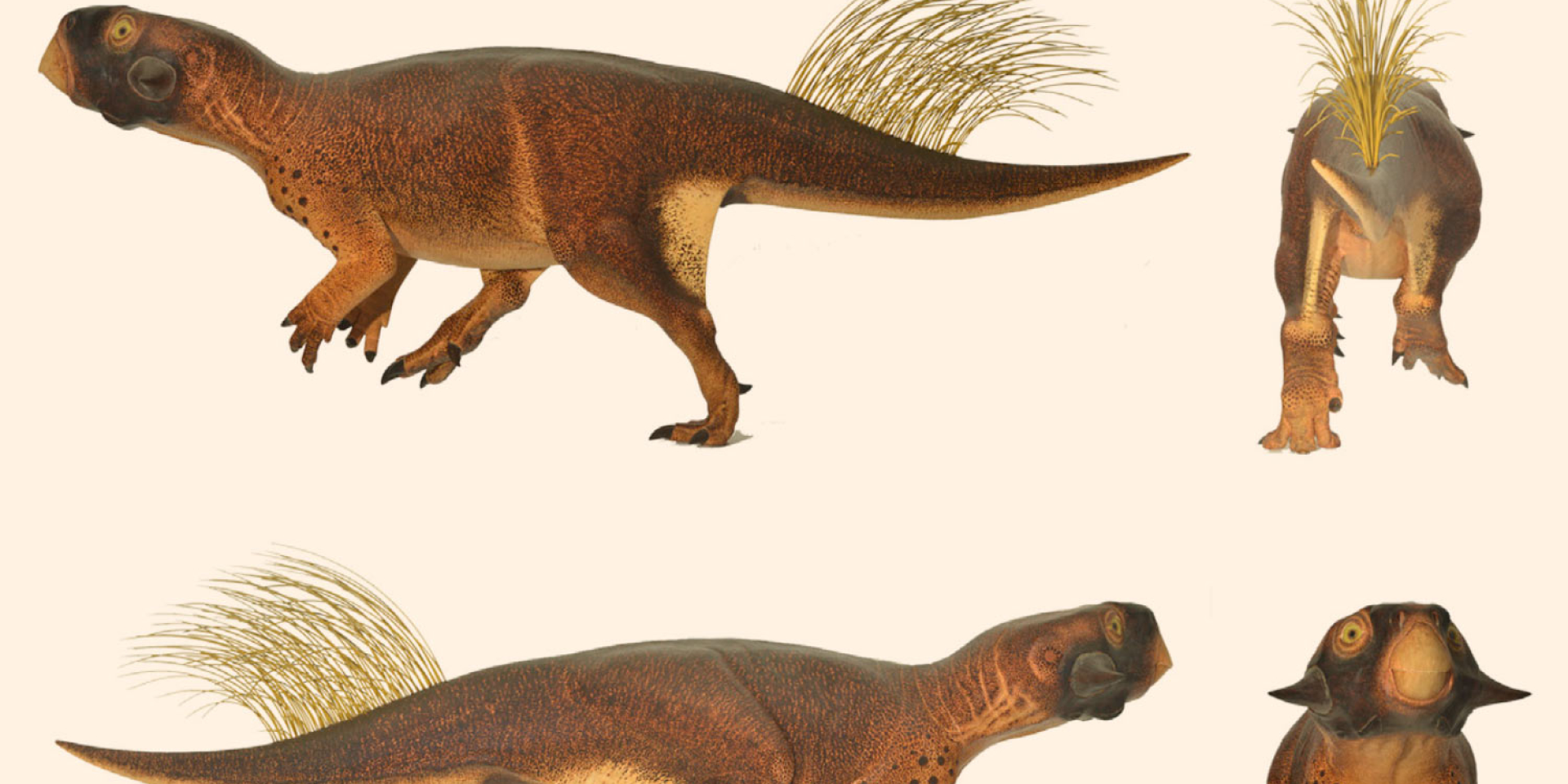 Модель Psittacosaurus sp., созданная на основе узоров кожи и пигментации образца (Фото: Jakob Vinther et al.)
