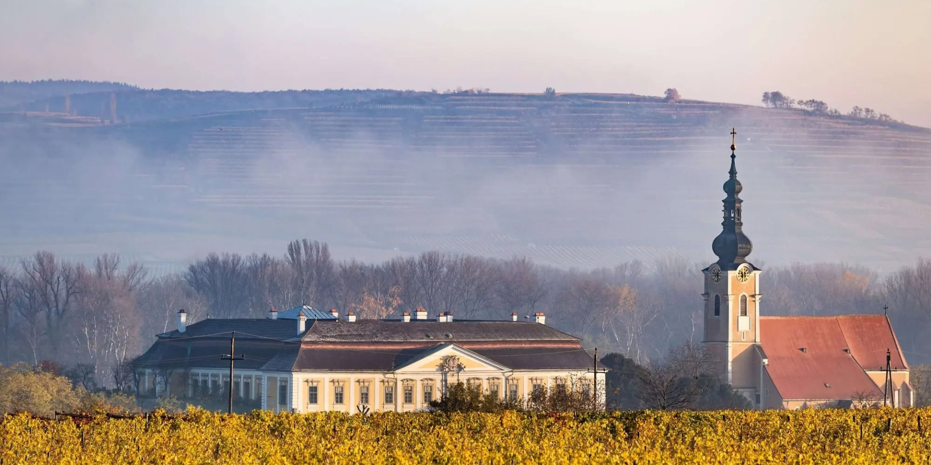 Schloss Gobelsburg — живая легенда одного из лучших винодельческих регионов Австрии, Кампталя (Фото: facebook/oleksandr.meier)