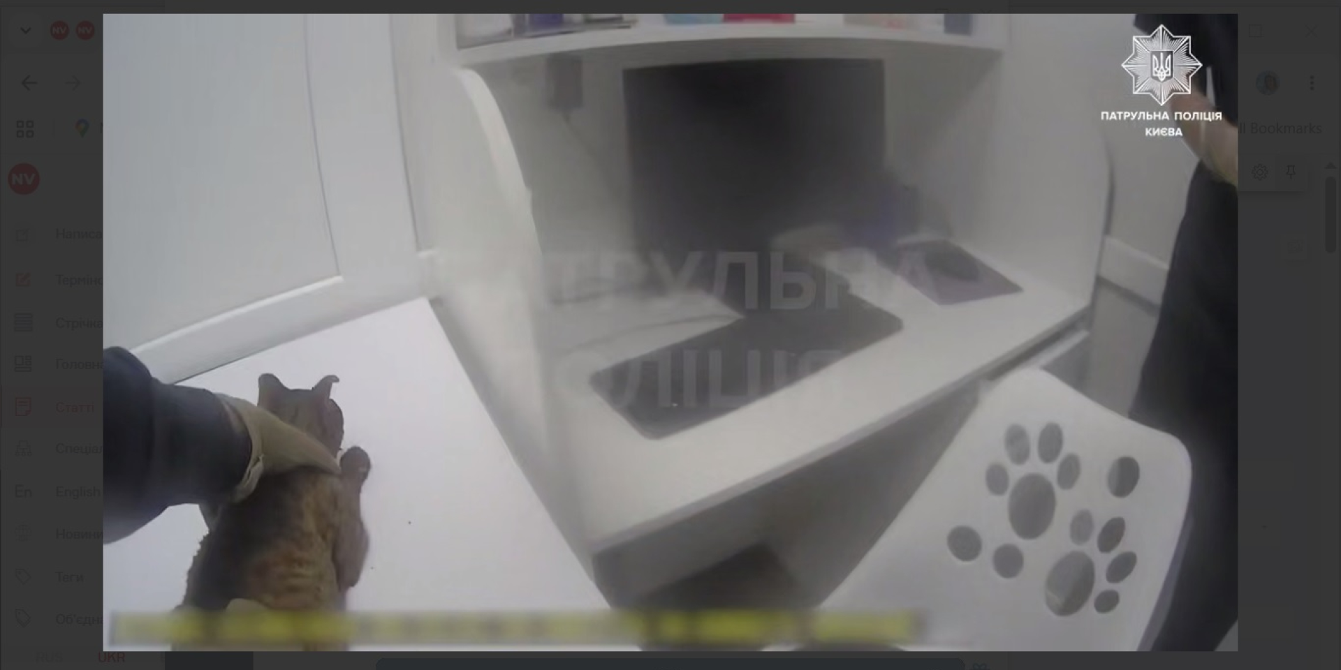 Police officers took the injured cat to a veterinary clinic and handed it over to specialists. (Photo: Screenshot of the Kyiv Patrol Police video)