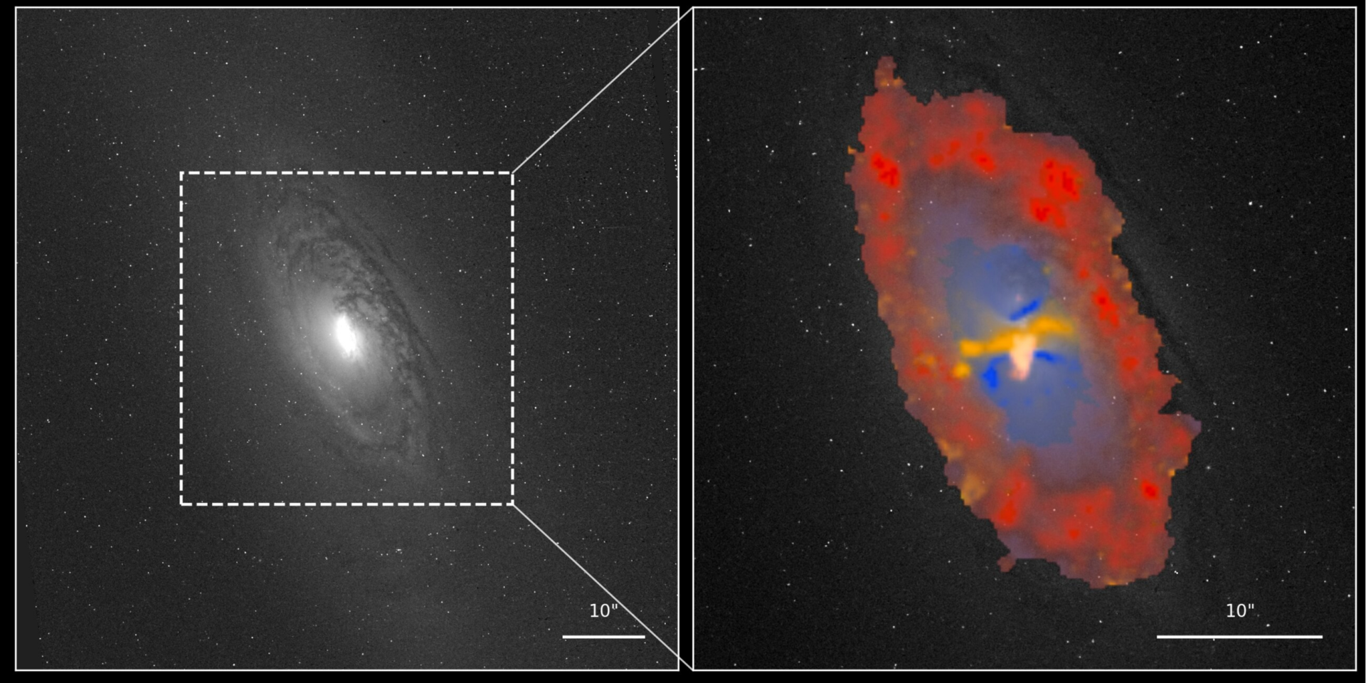 Галактика NGC1386, показанная в оттенках серого слева и увеличенная до центральной области справа (Фото: Пейсинь Чжу)